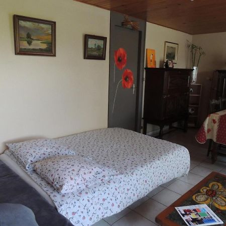 Bed and Breakfast Anemones Et Asters Эз Экстерьер фото